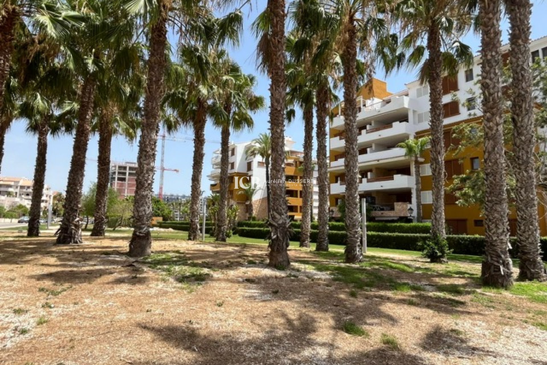 Revente - Appartement -
Punta Prima - Torrevieja
