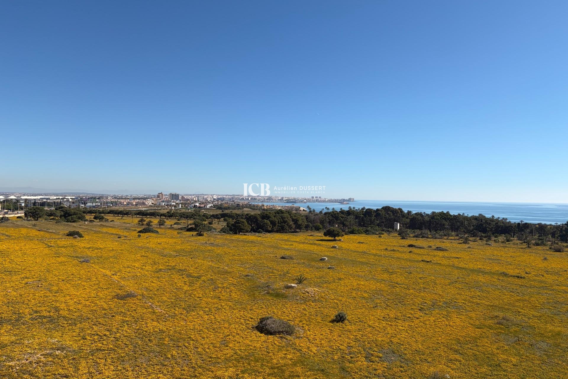 Revente - Appartement -
Torrevieja