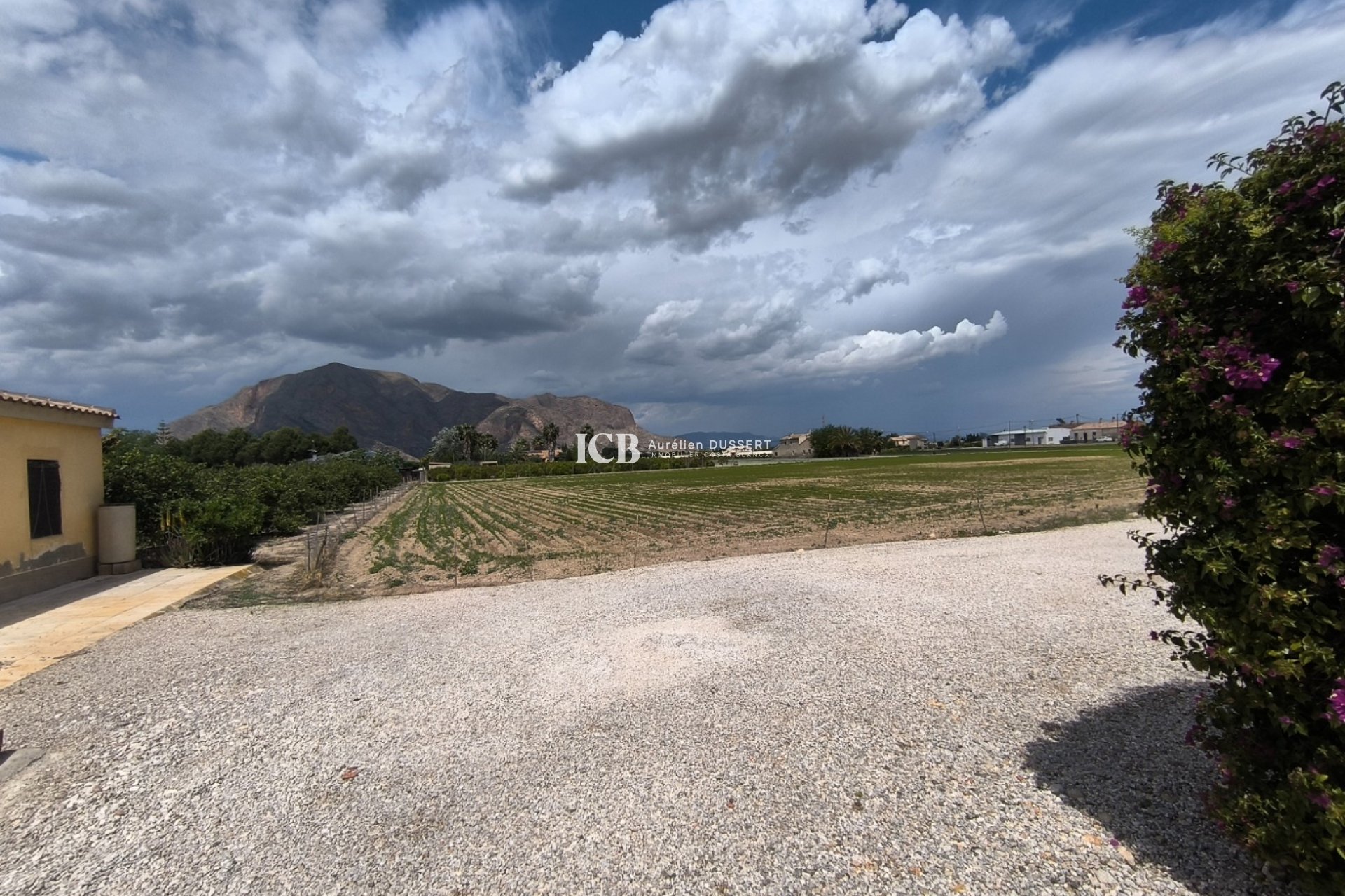 Revente - Finca -
Orihuela Ville - Orihuela