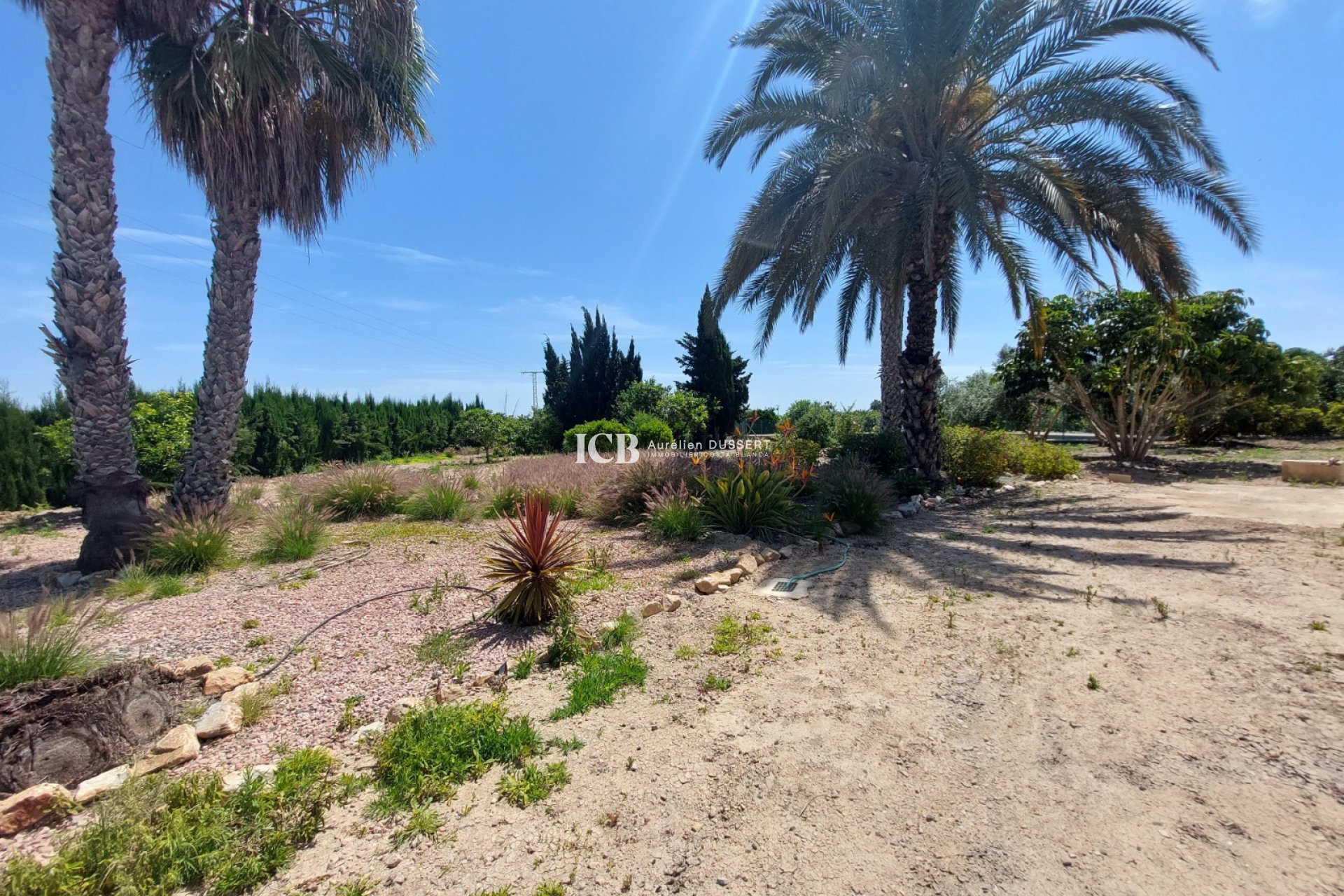 Revente - Finca -
San Miguel de Salinas