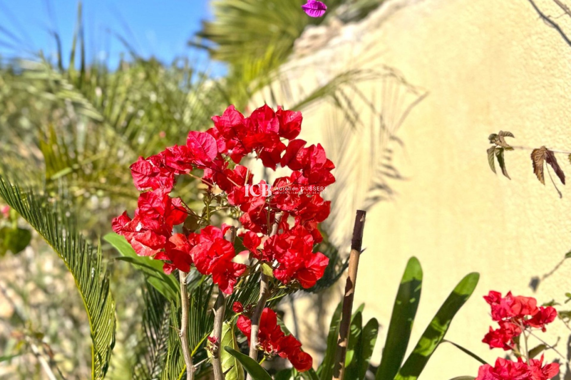 Revente - Maison mitoyenne -
Orihuela Costa - Lomas de Campoamor