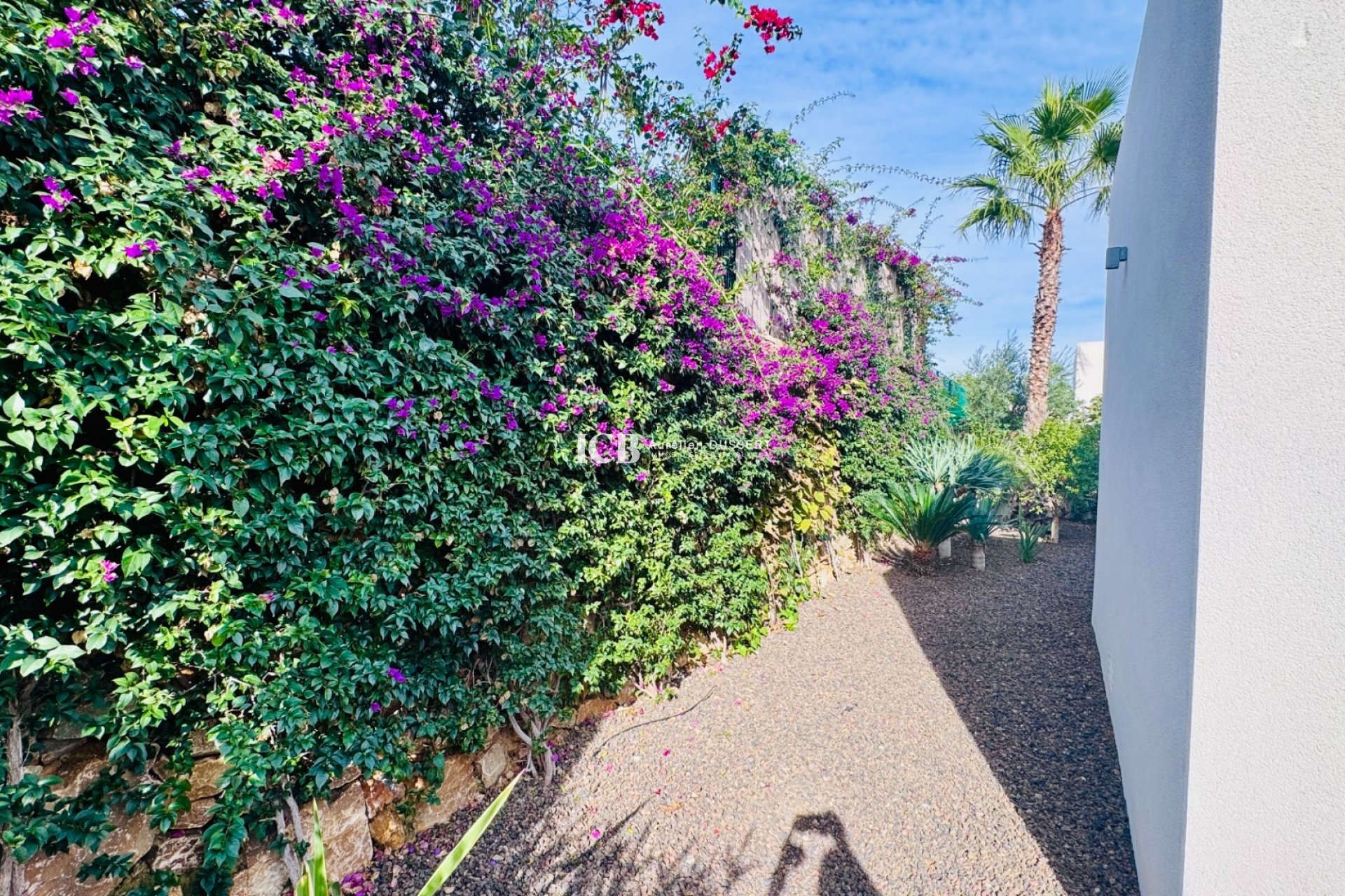 Revente - Villa -
Algorfa - La Finca Golf