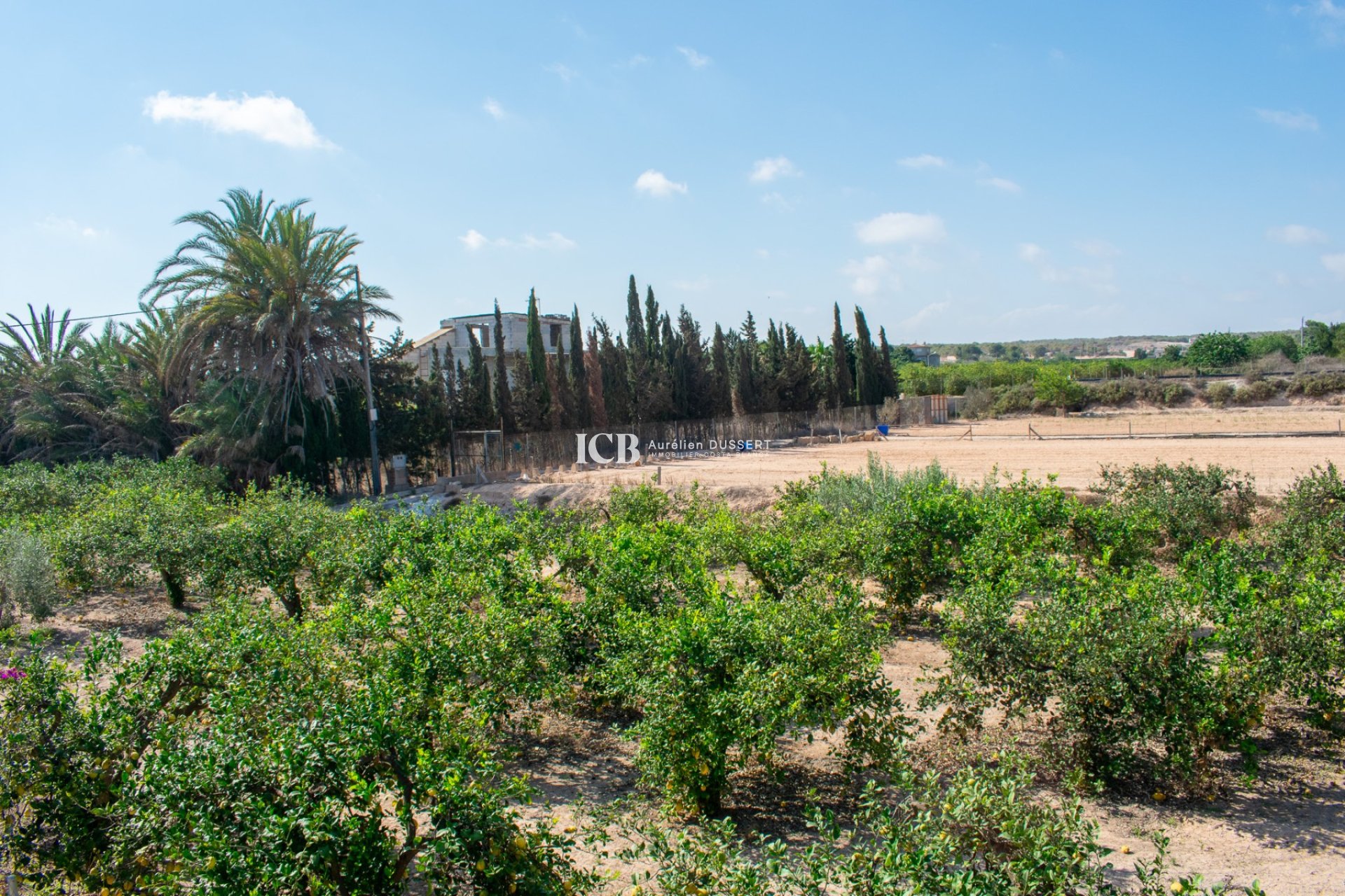 Revente - Villa -
Guardamar del Segura - El Raso