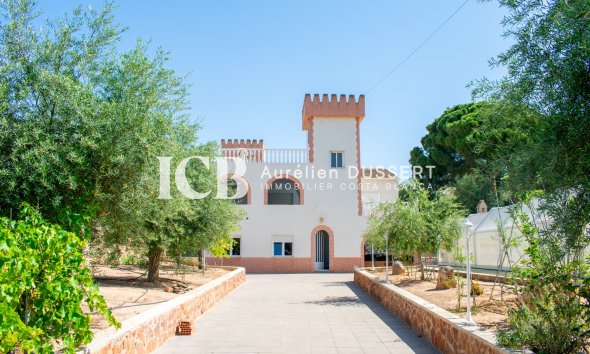 Villa - Reventa - Orihuela Costa - Mil Palmeras