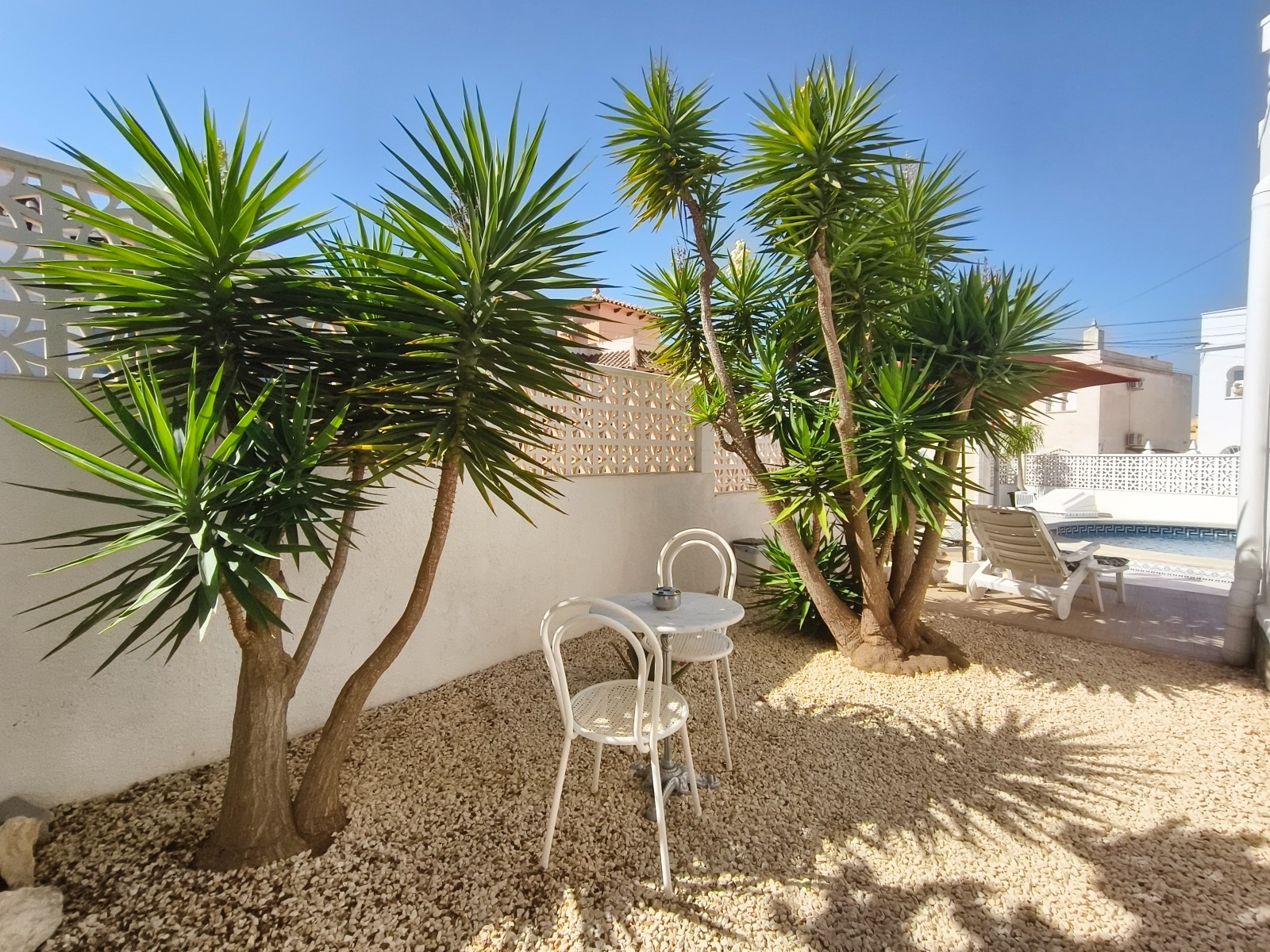 House in San Miguel de Salinas - Image 5