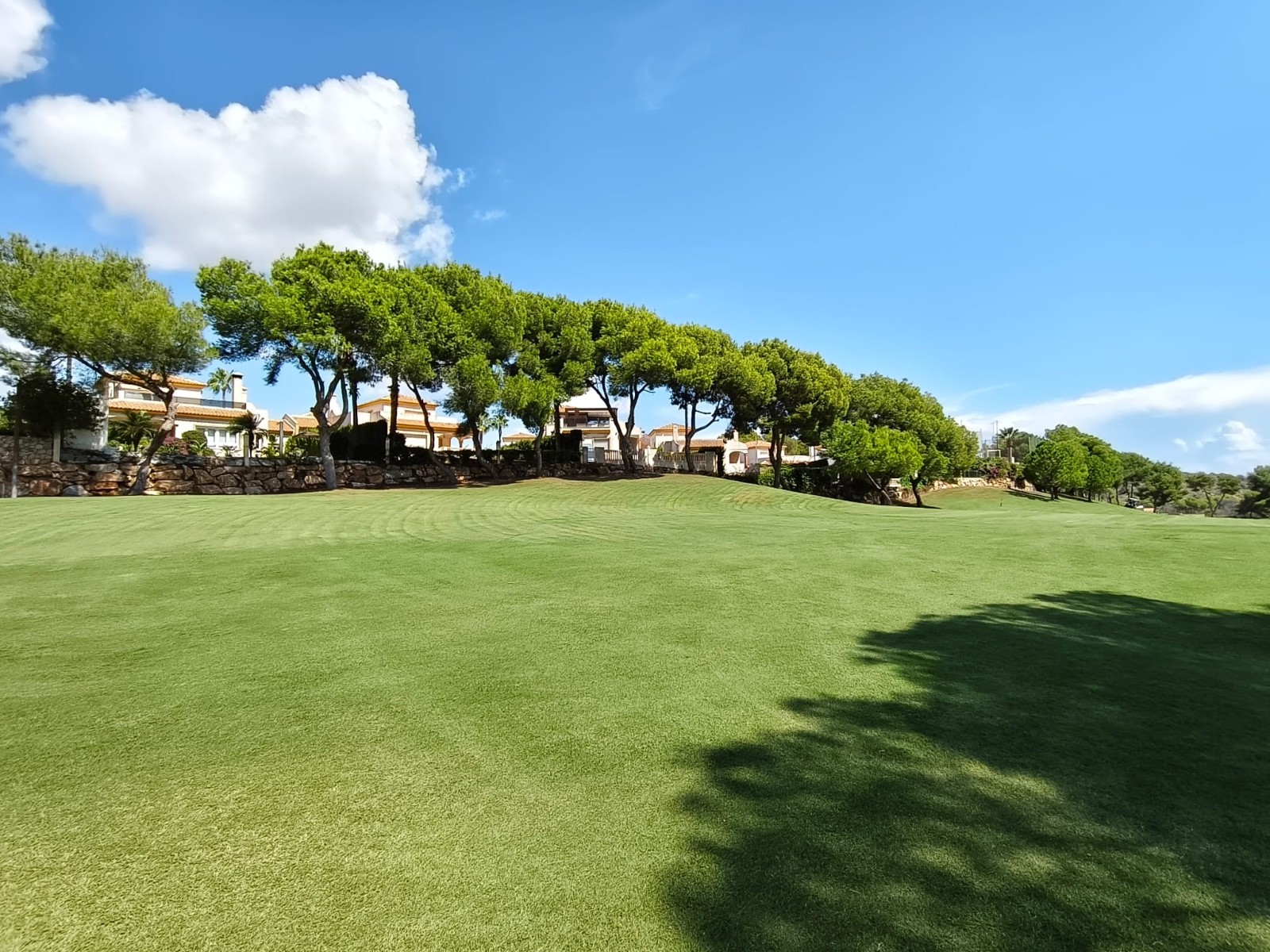 Apartment in Dehesa de Campoamor - Image 4