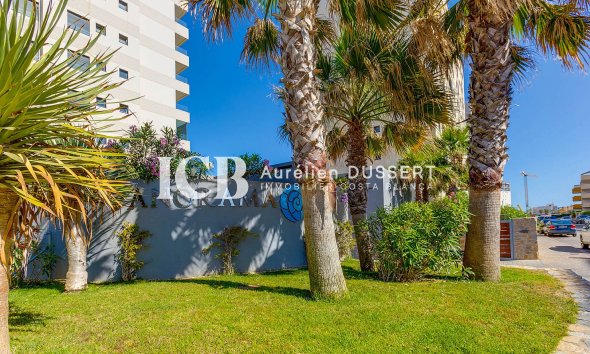 Resale - Apartment / flat -
Torrevieja