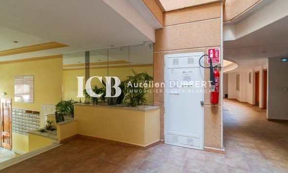 Resale - Apartment / flat -
Torrevieja - Estacion de autobuses