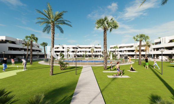 Obra nueva - Apartamento / piso -
Guardamar del Segura