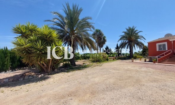 Resale - Finca -
San Miguel de Salinas