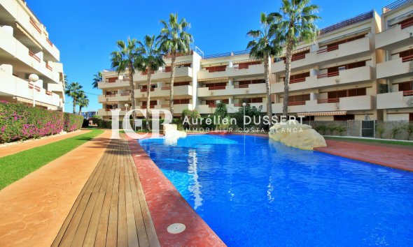 Reventa - Apartamento / piso -
Orihuela Costa - Playa Flamenca