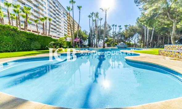 Resale - Apartment / flat -
Orihuela Costa - Altos de Campoamor