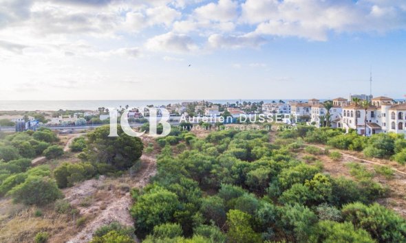 New Build - Apartment / flat -
Orihuela Costa - Playa Flamenca