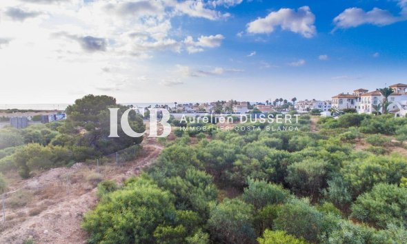 Obra nueva - Apartamento / piso -
Orihuela Costa - Playa Flamenca