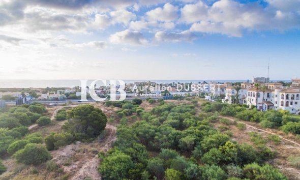 New Build - Apartment / flat -
Orihuela Costa - Playa Flamenca