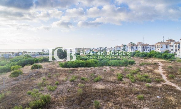 Nouvelle construction - Appartement -
Orihuela Costa - Playa Flamenca