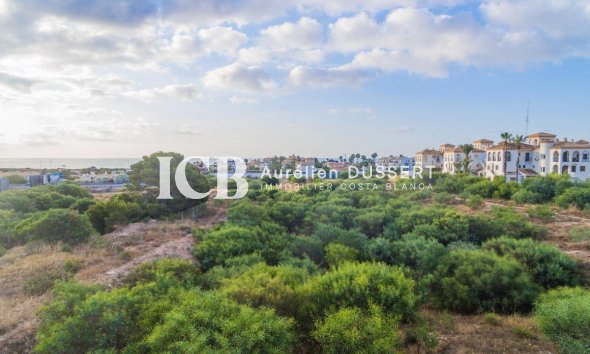 Obra nueva - Apartamento / piso -
Orihuela Costa - Playa Flamenca