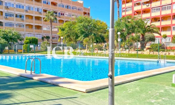 Reventa - Apartamento / piso -
Torrevieja - Torrelamata - La Mata