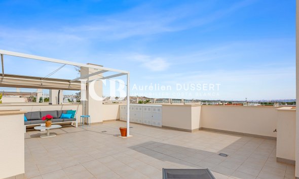 Reventa - Apartamento / piso -
Vistabella - Vistabella golf