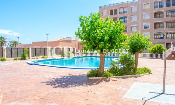 Reventa - Apartamento / piso -
Guardamar del Segura - Guardamar Playa