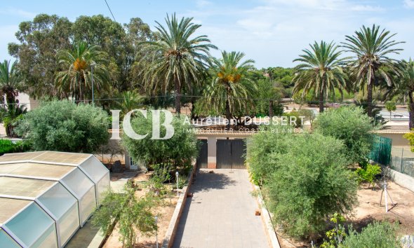 Reventa - Villa -
Orihuela Costa - Mil Palmeras