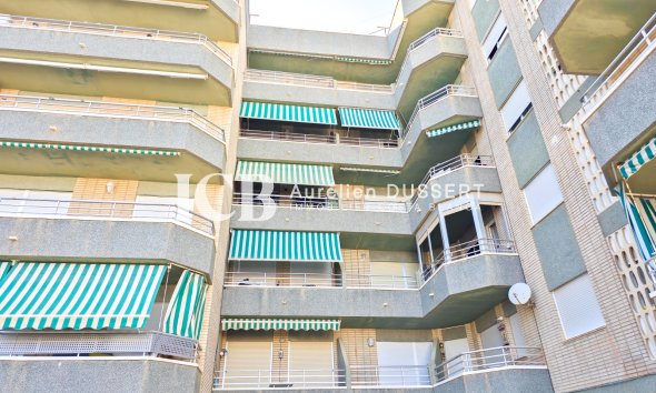 Reventa - Apartamento / piso -
Guardamar del Segura - Guardamar Playa