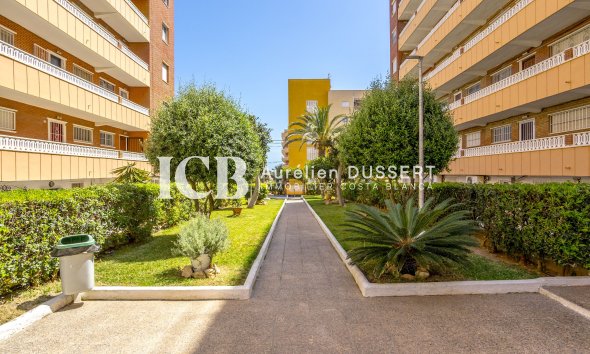 Reventa - Apartamento / piso -
Torrevieja - Punta prima