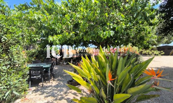 Reventa - Finca -
Orihuela Pueblo - Orihuela