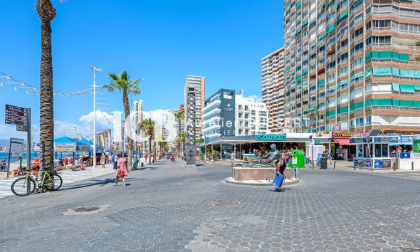 Reventa - Apartamento / piso -
Benidorm* - Levante*