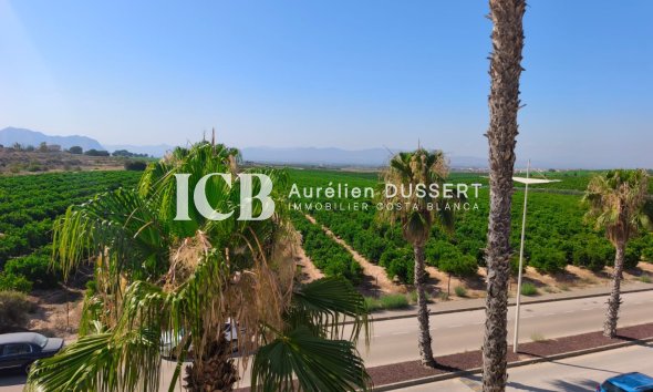 Revente - Maison mitoyenne -
Algorfa - La Finca Golf