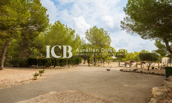 Reventa - Finca -
Torremendo