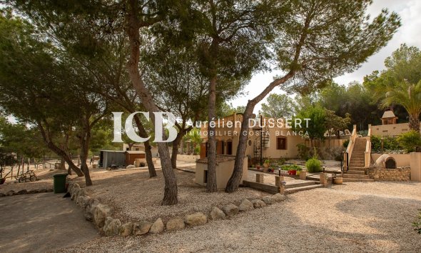 Reventa - Finca -
Torremendo