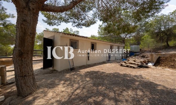 Reventa - Finca -
Torremendo