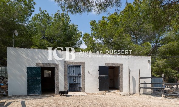 Reventa - Finca -
Torremendo