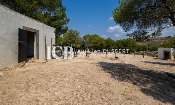 Reventa - Finca -
Torremendo