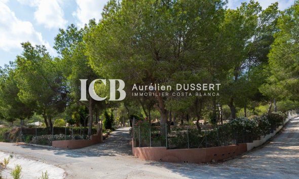 Reventa - Finca -
Torremendo