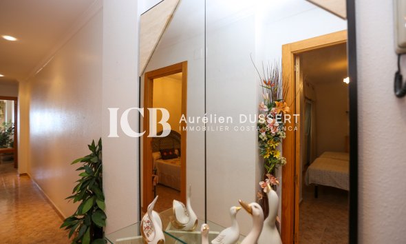 Revente - Appartement -
La Mata