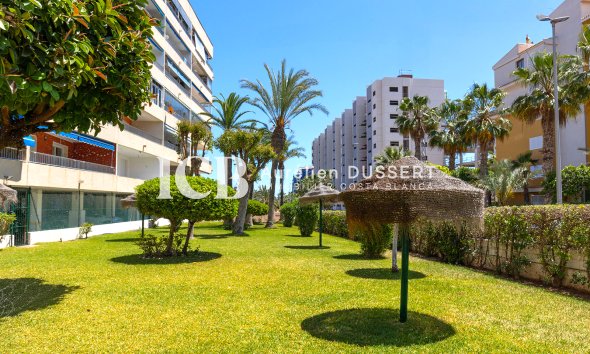 Revente - Appartement -
Punta Prima - Torrevieja