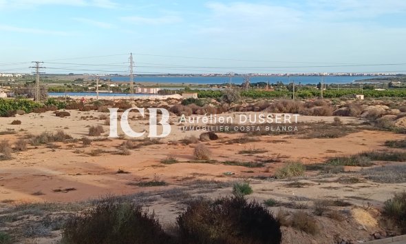 Revente - Maison individuelle -
Los Montesinos - La Herrada