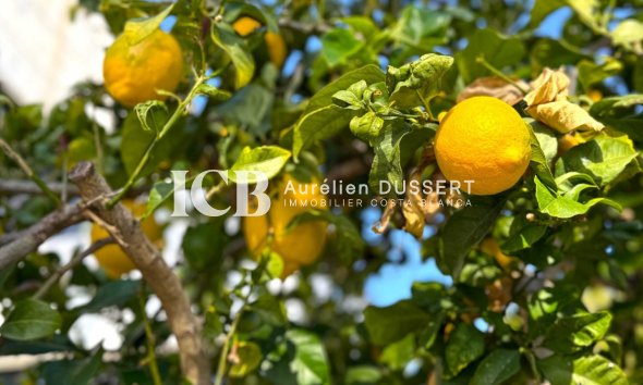 Revente - Maison individuelle -
Orihuela Costa - Villamartín