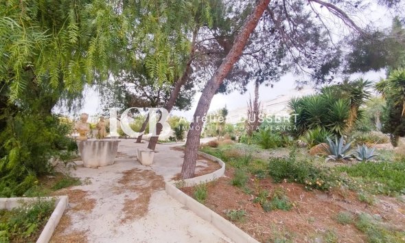 Revente - Maison individuelle -
San Miguel de Salinas - El Galan