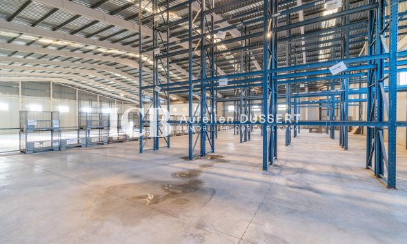 Location à long terme - Industrial unit -
Pilar de la Horadada - Polígono industrial Cañada de Práez