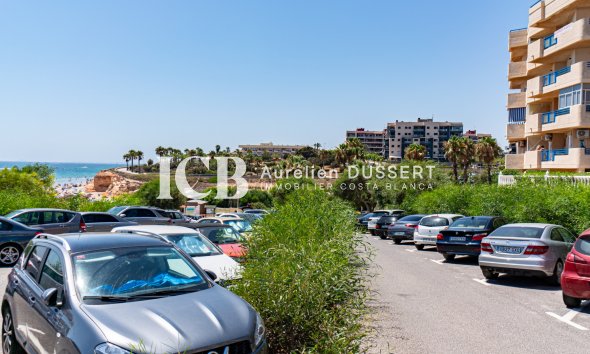 Reventa - Adosado -
Mil Palmeras