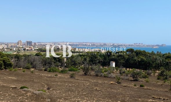 Reventa - Apartamento / piso -
Punta Prima - Torrevieja