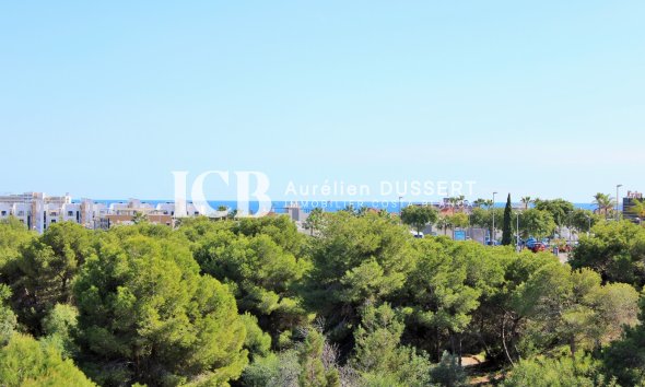 Reventa - Casa independiente -
Orihuela Costa - Playa Flamenca