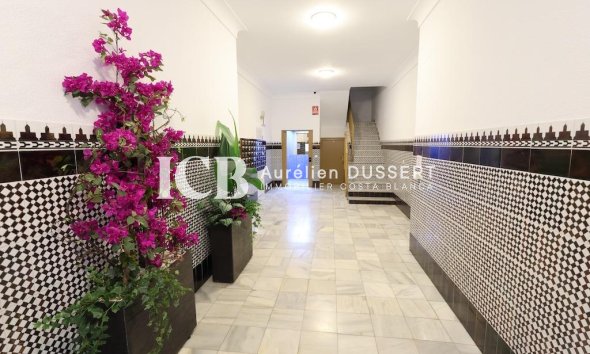 Revente - Appartement -
Torrevieja - Centro