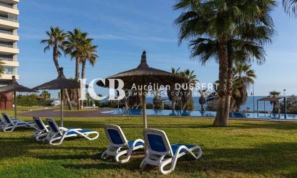 Revente - Appartement -
Punta Prima - Torrevieja