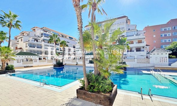 Resale - Apartment / flat -
La Mata