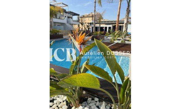 Revente - Appartement -
Orihuela Costa - Playa Flamenca