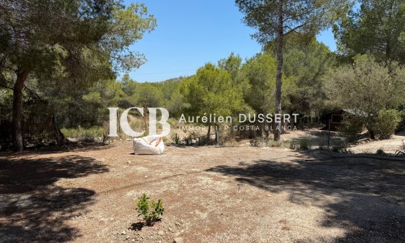 Revente - Maison individuelle -
Torremendo